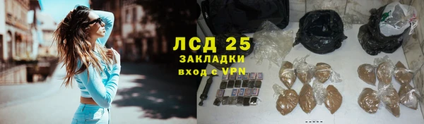 гашик Арсеньев