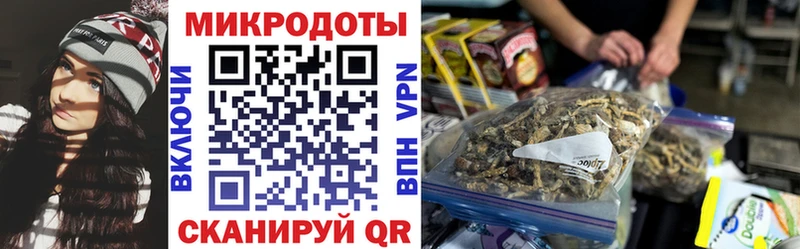 Псилоцибиновые грибы мицелий  Междуреченск 